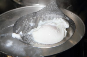 poached egg, photo by LdV