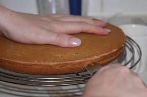 cake, photo by LdV