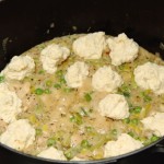 chickendumplings4