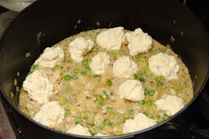 chickendumplings4