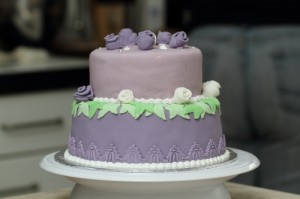 2 tier layered cake, covered and decorated in fondant and royal icing, photos by Laurens de Vries of www.laurens.com