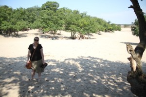 Drunense Duinen, the Netherlands