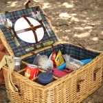 An overflowing picnic basket, Drunense Duinen