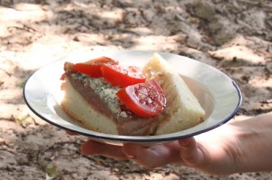 Picnic at Drunense Duinen, the Netherlands, roast beef and blue cheese sandwich