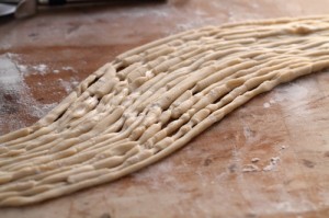 cut and reshaped uncooked pici